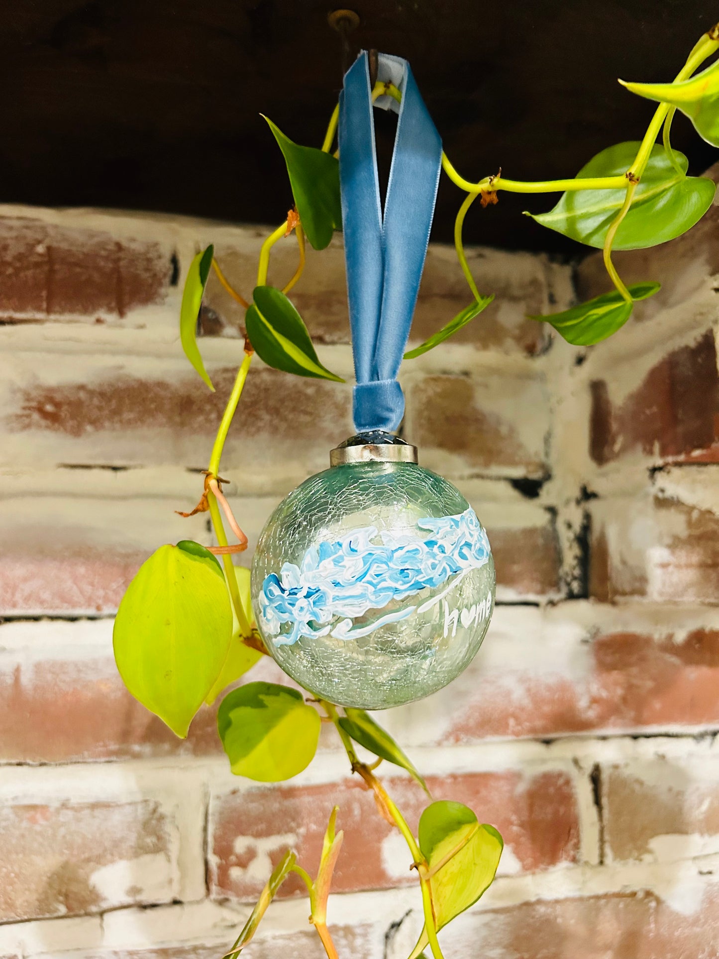 LI Home Aqua
